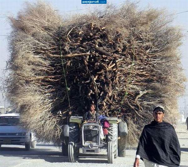 Вот и весь газпром