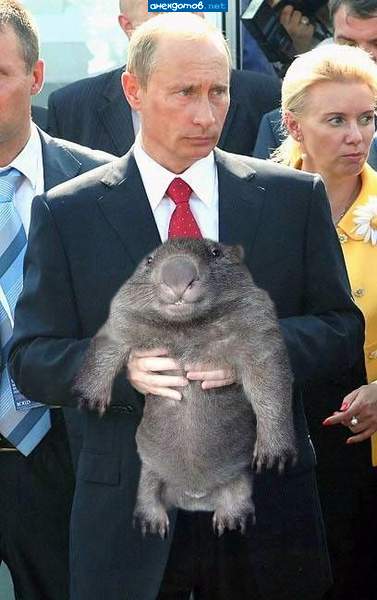 Разъелся Дима, не узнать, его давно пора менять!..