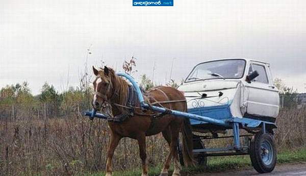 лошорожец