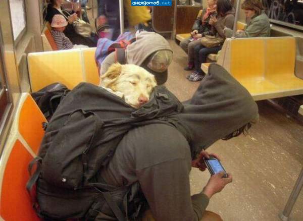 друзей в беде не бросают