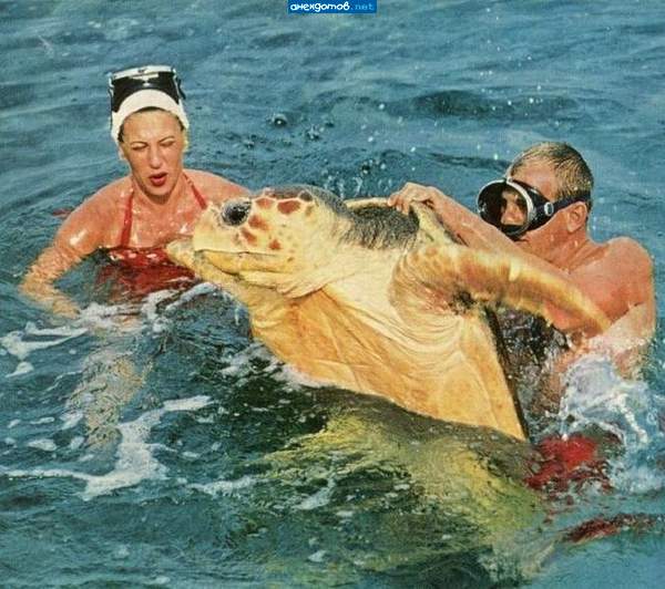 А теперь покатай меня, Большая Черепаха!