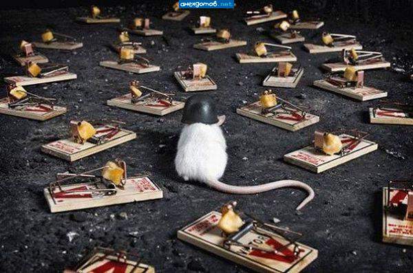Минное поле"