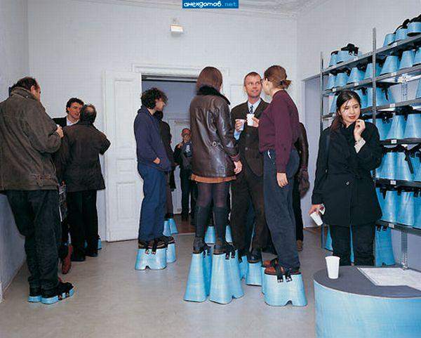 Парнокопытные