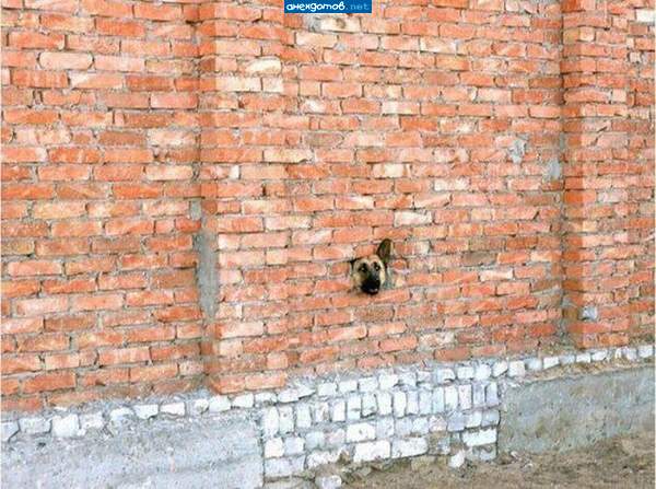 друг, оставь покурить... а вокруг тишина