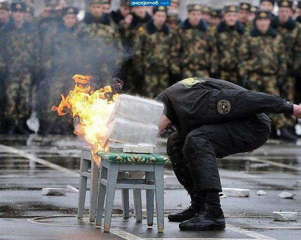 Мозг не обнаружен, к службе в полиции годен!