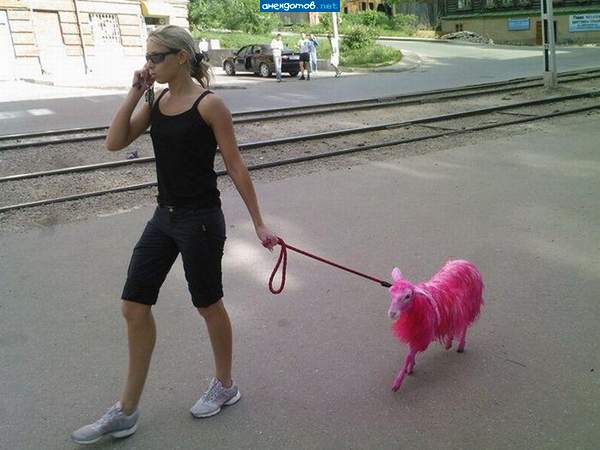 Сделать хотел грозу, а получил козу...