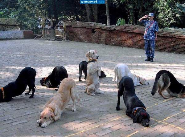 Сложный выбор