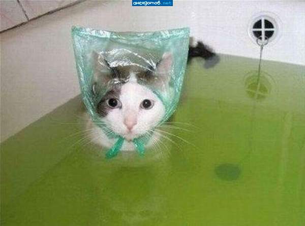 Зато причёска сохранится!"