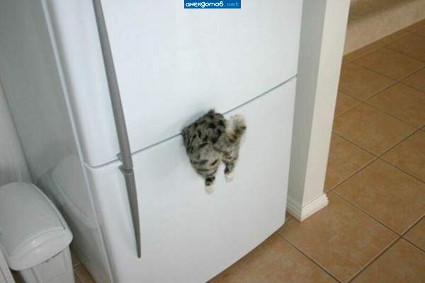 Отвратительно!