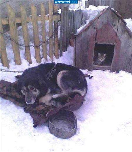 кризис.сдаю жилье,цена договорная."