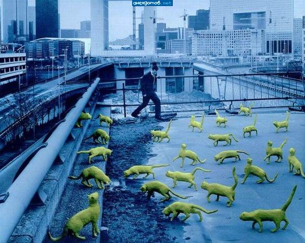 бросить ЛСД - никогда не рано)))))