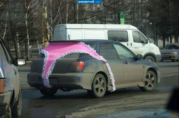 нет, жопа..."
