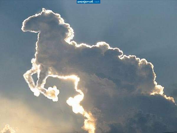 облака...белогривые лошадки....