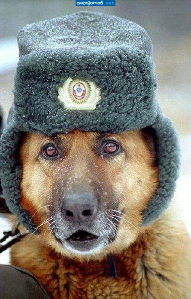 Чтобы лапшу на уши не вешали... ))