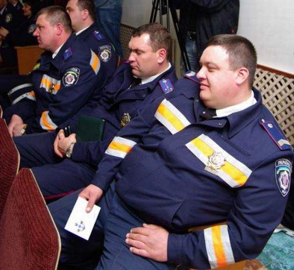 Следствие ведут колобки