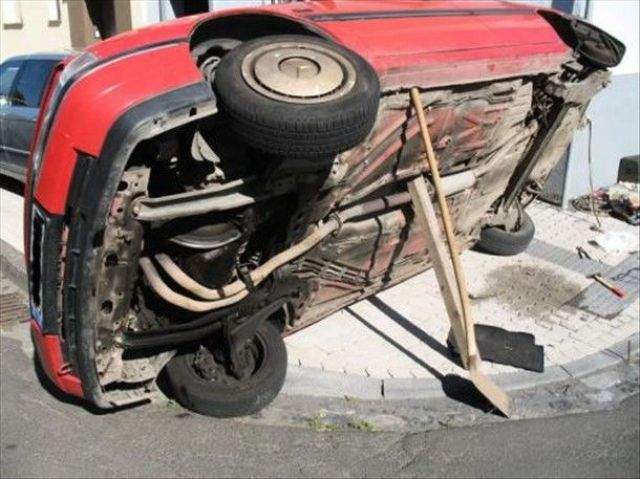 А мой мерин любит спать на бАчке