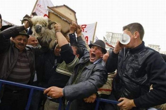 это маразм!