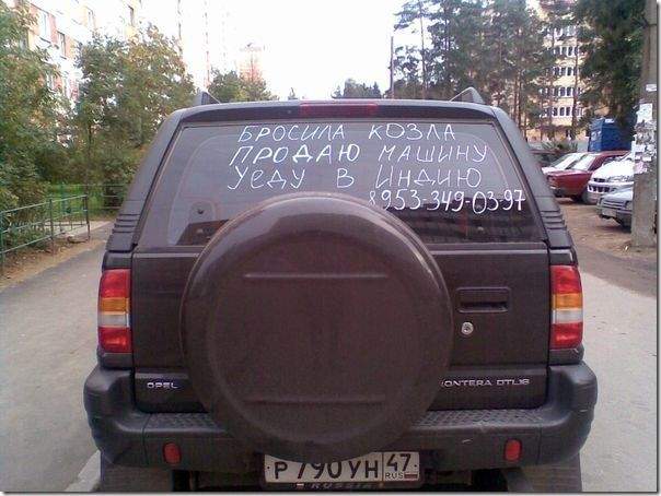Подпись: "Священная корова