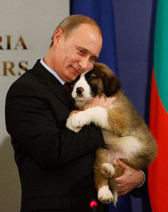а будешь хорошо себя вести я тебя тоже президентом сделаю.