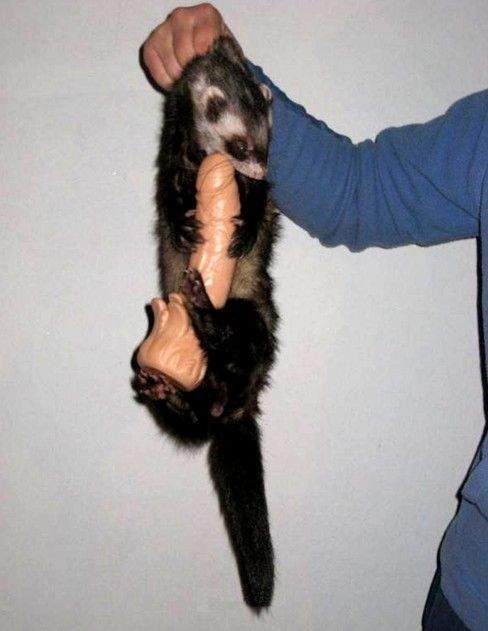 Не отдам тебе!!! Это у меня выросло!!!