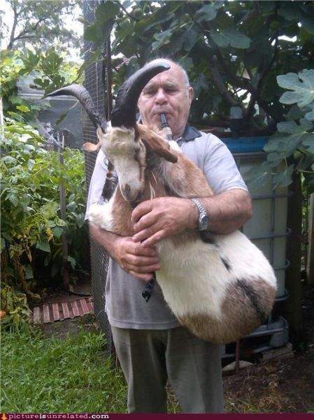 козлодуй