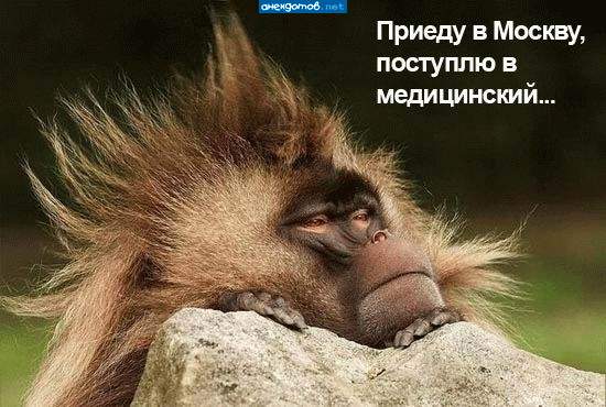 Ах шайтан баурман.... чтоб еще такое интересное придумать...