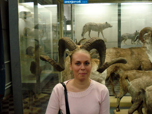 БАРАНесса