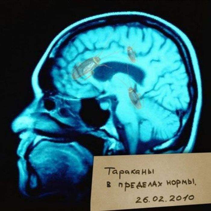 Если глаза у девушки светятся,значит тараканы празднуют победу!!!!!!!!!!!!!