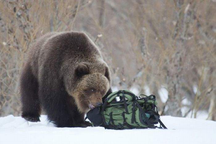 Как быстро бегают эти люди...