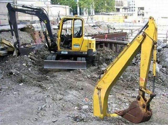 страус на оборот