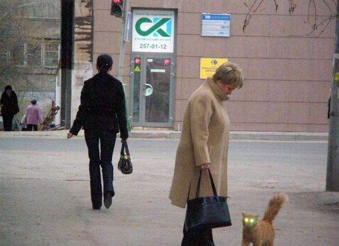 новые правила ГИБДД -со светом даже днем.