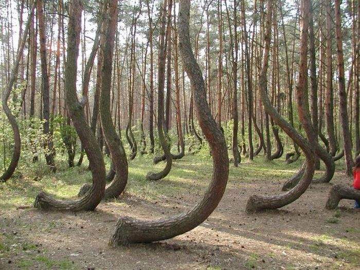 После празднования дня ВДВ.
