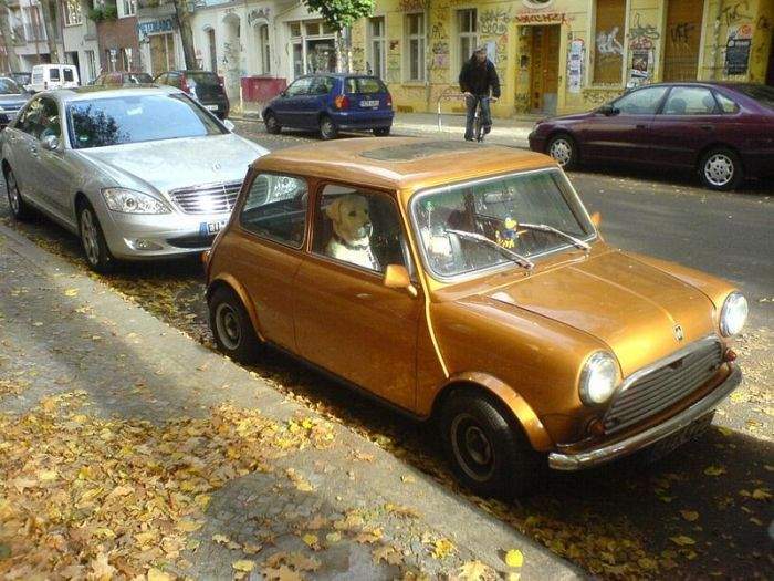 ни одну сучку в такой тачке не снимешь