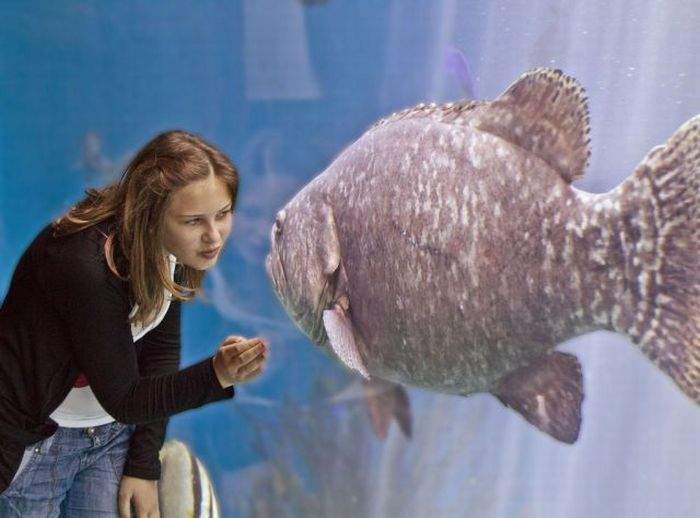 а может это они за нами наблюдают