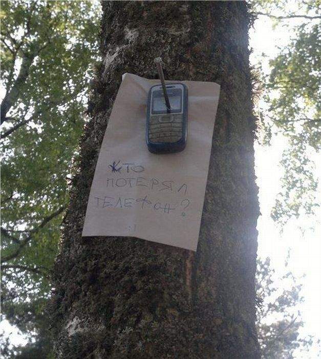 Вопросом своим пригвоздил прямо!