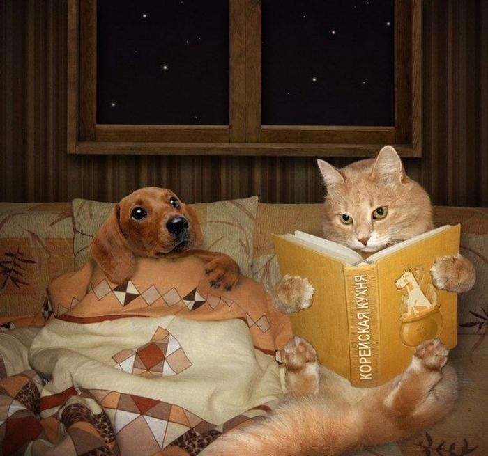 Страшные сказки на ночь