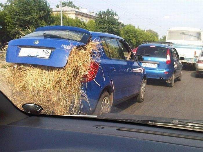 жене понравилось на сеновале, пришлось взять с собой....