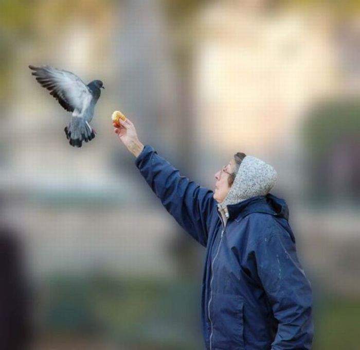 жри печеньку!