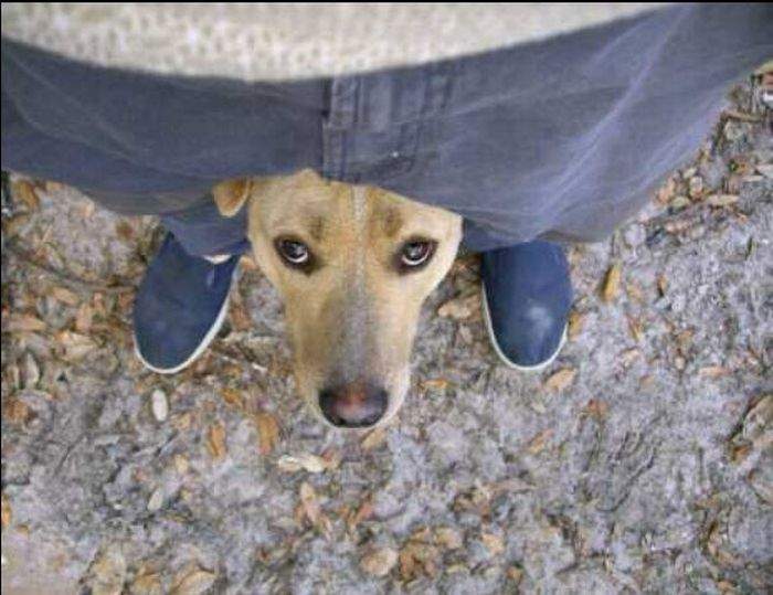 Зверь в штанах!!!