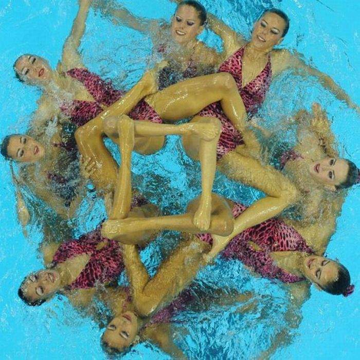 живой каледоскоп