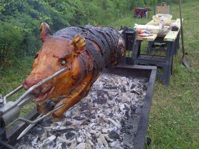Пятачок на свадьбе грустный,потому что очень вкусный...