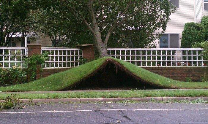 А-а-апчхи