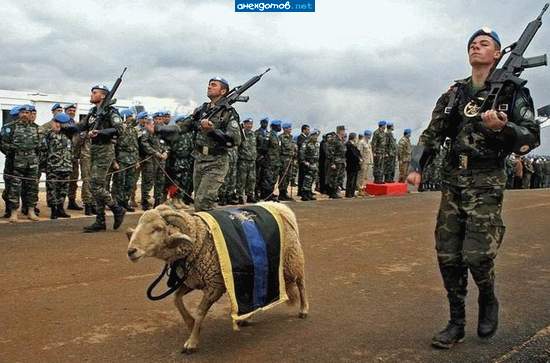 - а это наш прапор