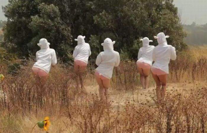 мы бедные овечки никто нас не пасет....