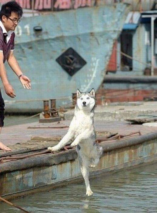 С причала рыбачил апостол Андрей, а Спаситель ходил по воде.... (НАУТ)