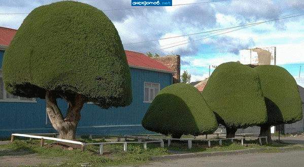 Марио Бразерс))))