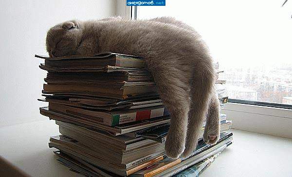 кот учёный. первый класс