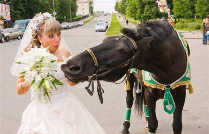Дорогой, что-то я тебя сегодня не узнаю