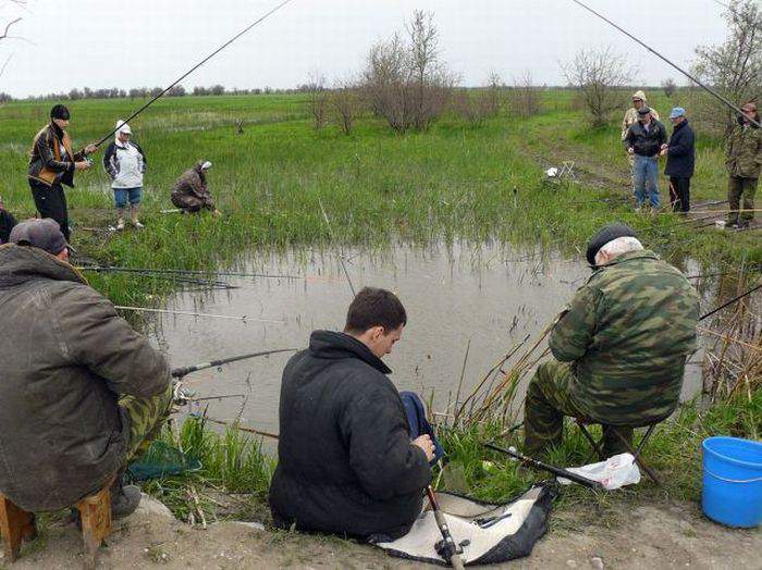 Ну натаскали малеха воды сидят рыбачат))