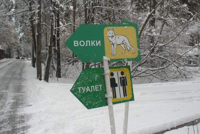 Волков боятся в туалет не ходить